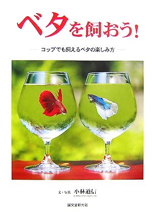 ベタを飼おう！ コップでも飼えるベタの楽しみ方