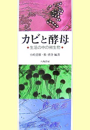 カビと酵母 生活の中の微生物