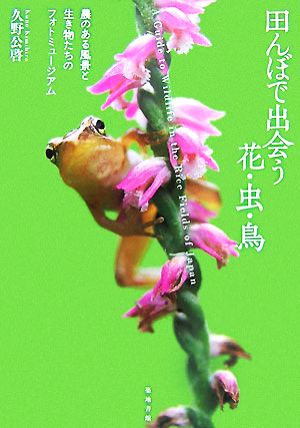 田んぼで出会う花・虫・鳥 農のある風景と生き物たちのフォトミュージアム