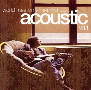 world mestizo ensemble presents acoustic vol.1