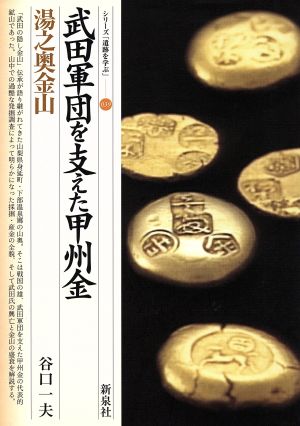 武田軍団を支えた甲州金 湯之奥金山 シリーズ「遺跡を学ぶ」039