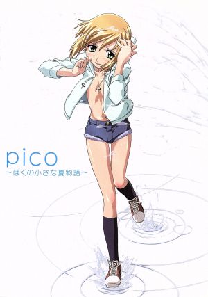 pico～ぼくの小さな夏物語～