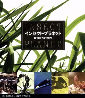 インセクト・プラネット 昆虫たちの世界(Blu-ray Disc)