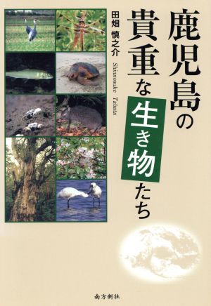 鹿児島の貴重な生き物たち