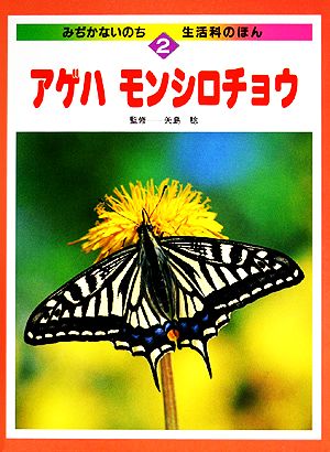 アゲハ・モンシロチョウ みぢかないのち・生活科のほん2