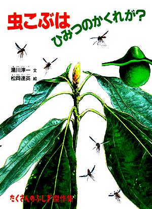 虫こぶはひみつのかくれが？ たくさんのふしぎ傑作集