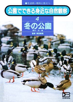 公園でできる身近な自然観察(4) 冬の公園