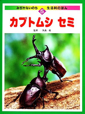 カブトムシ・セミ みぢかないのち・生活科のほん5