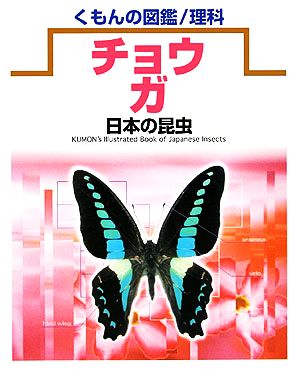 日本の昆虫 チョウ・ガ くもんの図鑑 理科