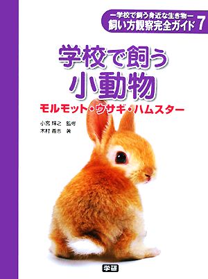 学校で飼う小動物 モルモット・ウサギ・ハムスター 学校で飼う身近な生き物飼い方観察完全ガイド7