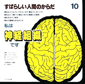 私は神経組織です すばらしい人間のからだ10