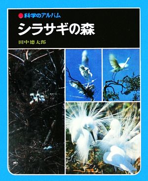 シラサギの森科学のアルバム20