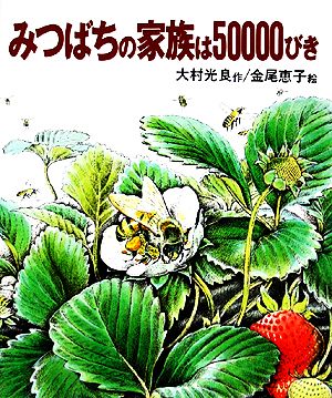 みつばちの家族は50000びき 文研科学の読み物