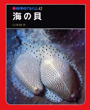 海の貝科学のアルバム42