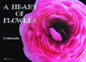 A HEART OF FLOWERS