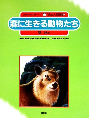 森に生きる動物たち