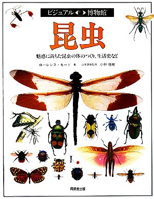 昆虫 魅惑に満ちた昆虫の体のつくり、生活史など ビジュアル博物館17