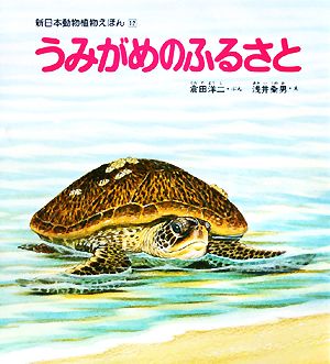 うみがめのふるさと 新日本動物植物えほん12