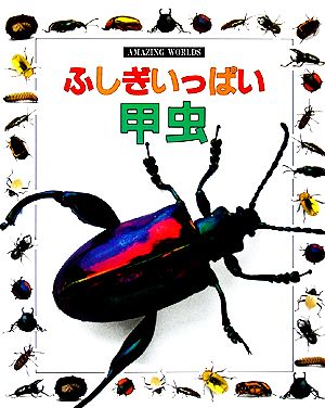 ふしぎいっぱい 甲虫AMAZING WORLDS2