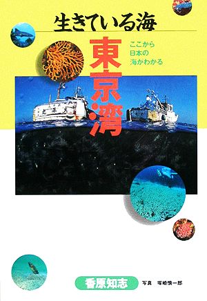 生きている海東京湾