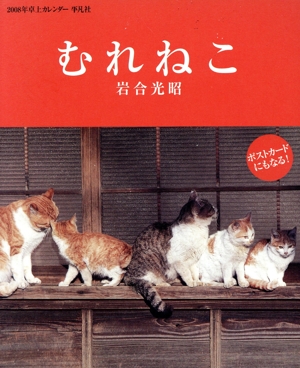 カレンダー '08 卓上 むれねこ