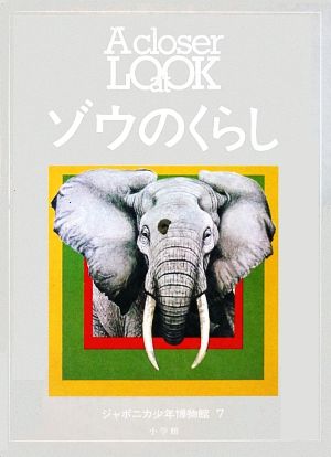 ゾウのくらしジャポニカ少年博物館7