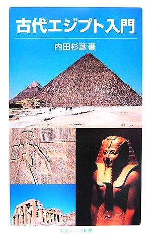 古代エジプト入門 岩波ジュニア新書