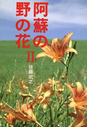 阿蘇の野の花(2)