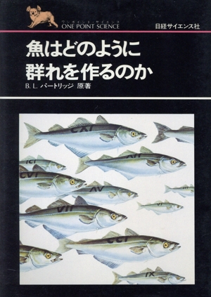 魚はどのように群れを作るのか