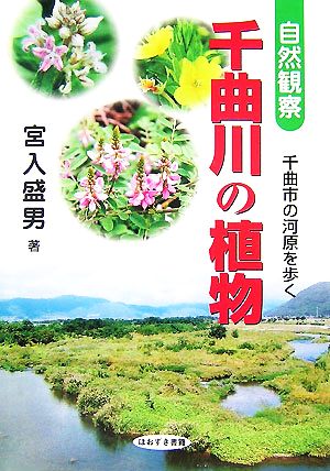 自然観察 千曲川の植物 千曲市の河原を歩く