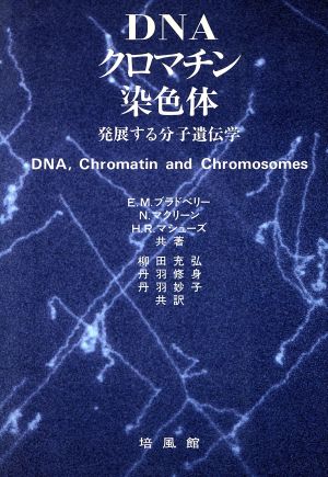 DNA・クロマチン・染色体