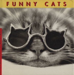 FUNNY CATS