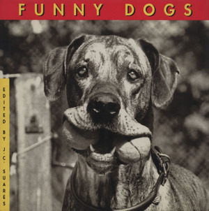 FUNNY DOGS