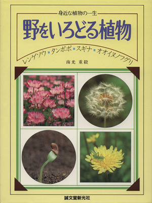 野をいろどる植物