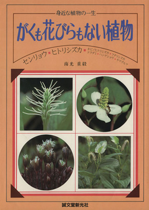 がくも花びらもない植物