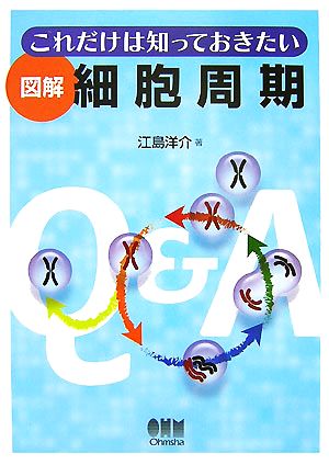 これだけは知っておきたい図解 細胞周期