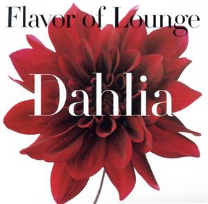 Flavor of Lounge-Daria