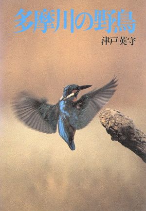 多摩川の野鳥