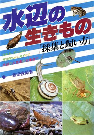 水辺の生きもの 採集と飼い方