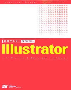 実践マスター Illustrator CS/CS2/CS3対応