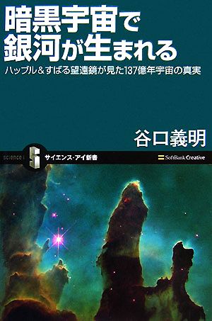 暗黒宇宙で銀河が生まれる ハッブル&すばる望遠鏡が見た137億年宇宙の真実 サイエンス・アイ新書