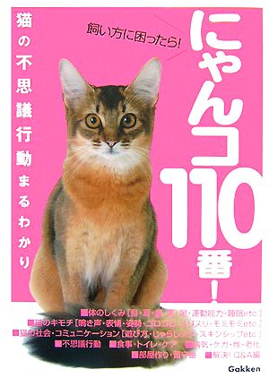 にゃんコ110番！飼い方に困ったら！猫の不思議行動まるわかり