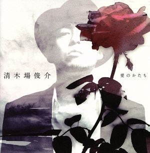 愛のかたち(DVD付)