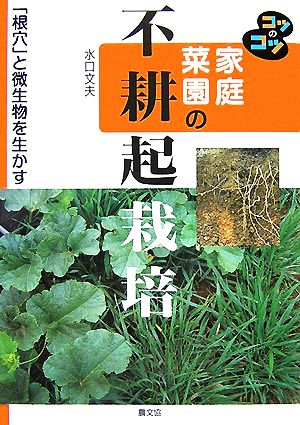 家庭菜園の不耕起栽培 「根穴」と微生物を生かす コツのコツシリーズ