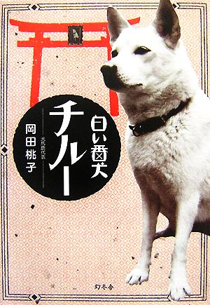 白い番犬チルー