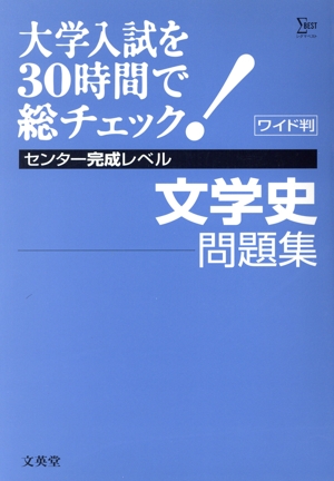 大学入試を30時間で総チェック完成3文学