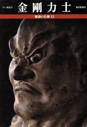 魅惑の仏像 金剛力士 奈良・興福寺(13)