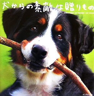 犬からの素敵な贈りもの