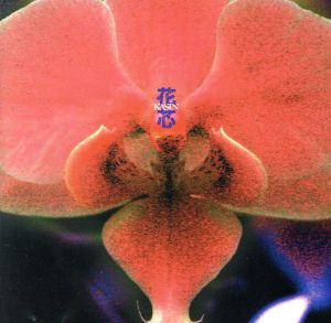 花芯