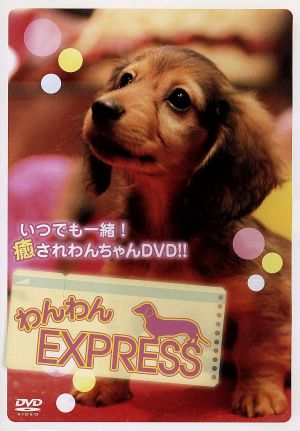 わんわんEXPRESS